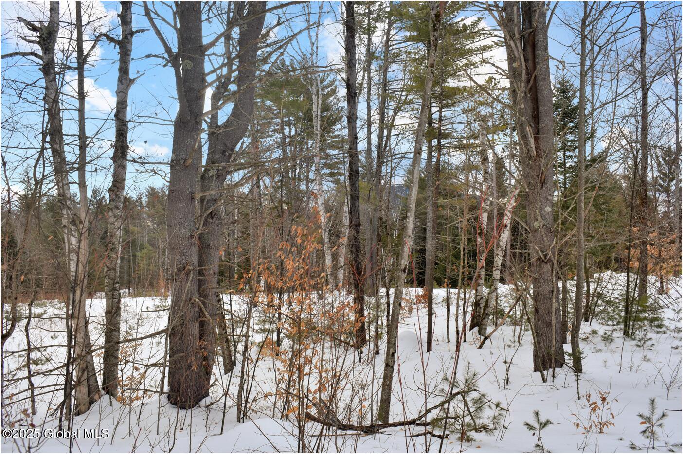L87 Highview Lane Wevertown NY 12886