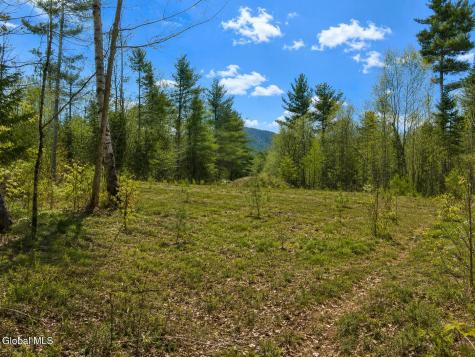 L87 Highview Lane Wevertown NY 12886