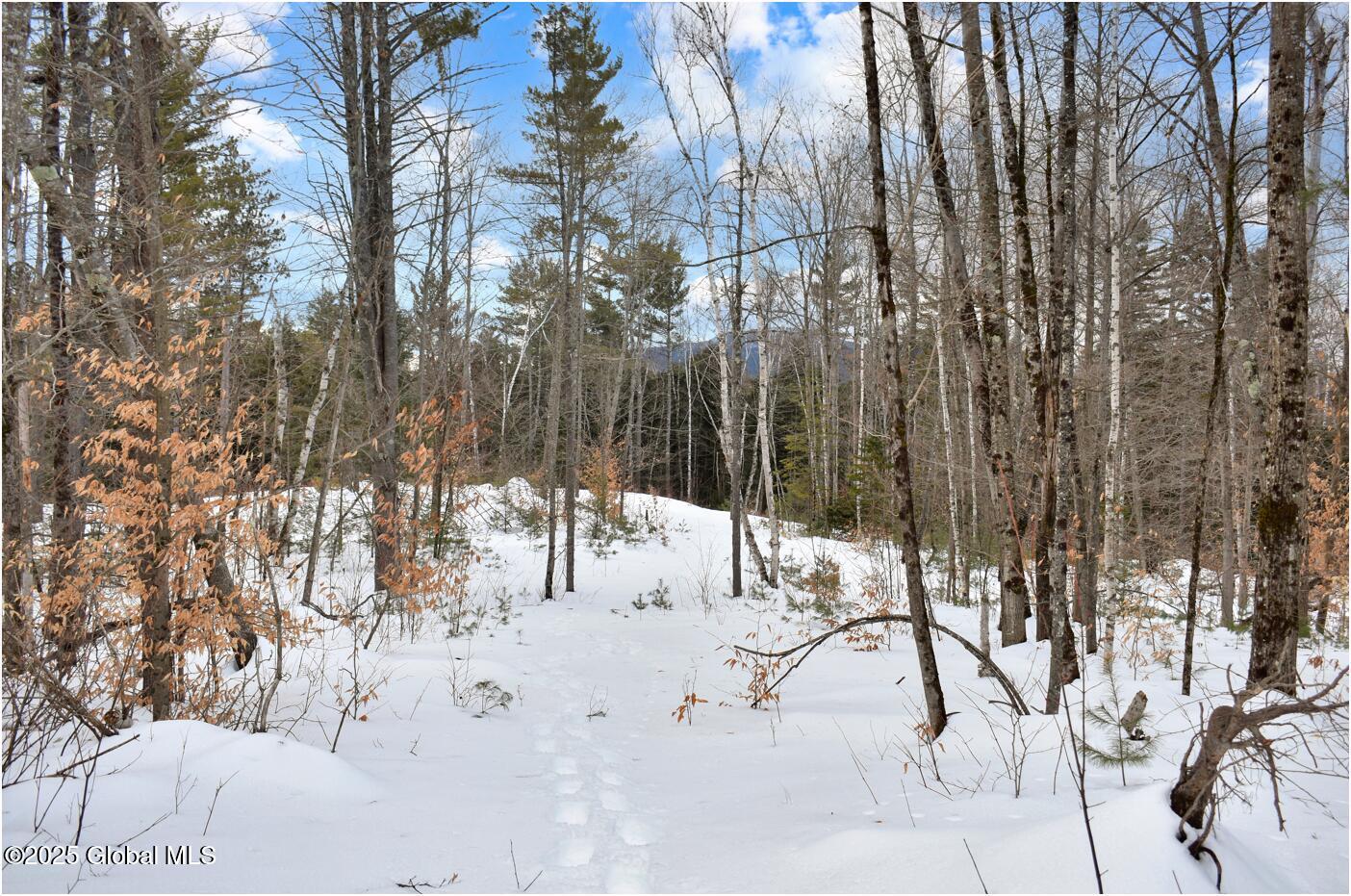 L87 Highview Lane Wevertown NY 12886