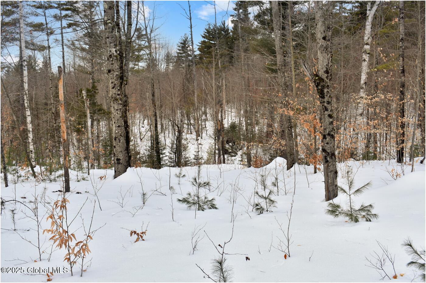 L87 Highview Lane Wevertown NY 12886