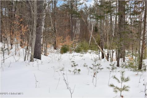 L87 Highview Lane Wevertown NY 12886