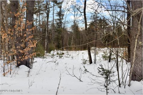 L87 Highview Lane Wevertown NY 12886