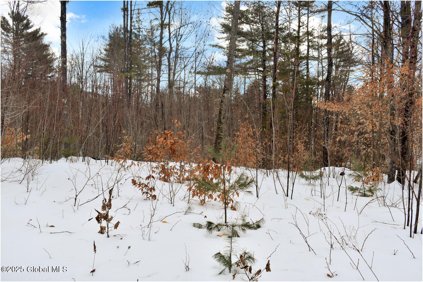L87 Highview Lane Wevertown NY 12886