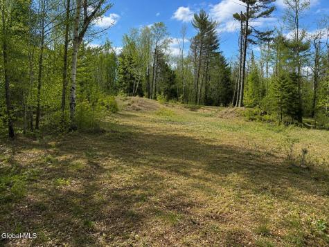 L87 Highview Lane Wevertown NY 12886