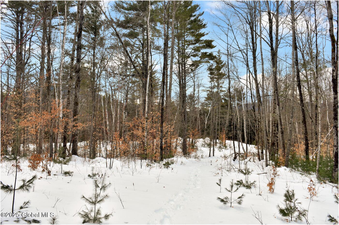 L87 Highview Lane Wevertown NY 12886