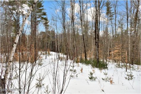 L87 Highview Lane Wevertown NY 12886