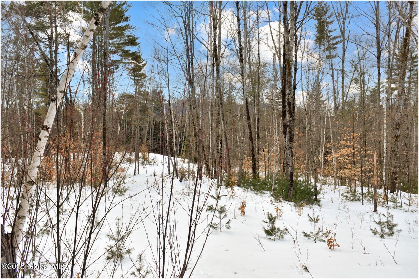 L87 Highview Lane Wevertown NY 12886
