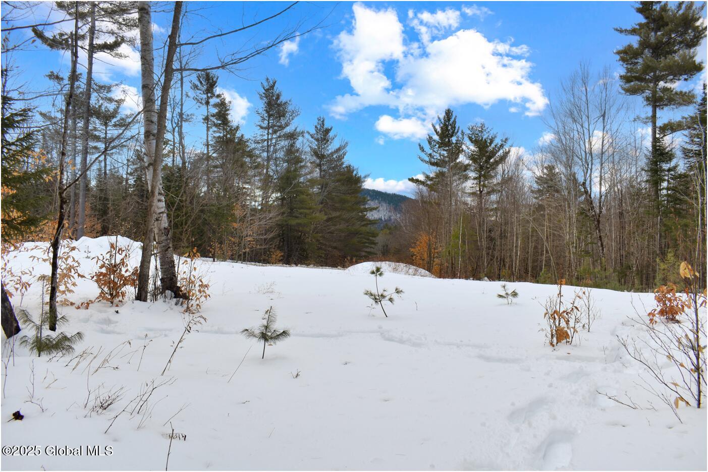 L87 Highview Lane Wevertown NY 12886