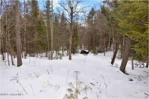 L87 Highview Lane Wevertown NY 12886