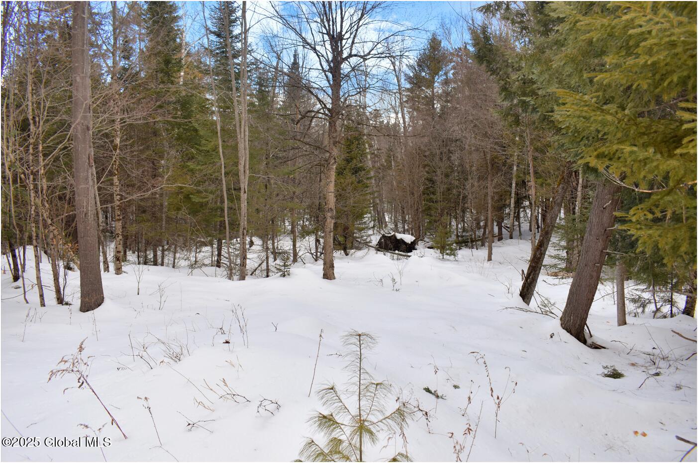 L87 Highview Lane Wevertown NY 12886