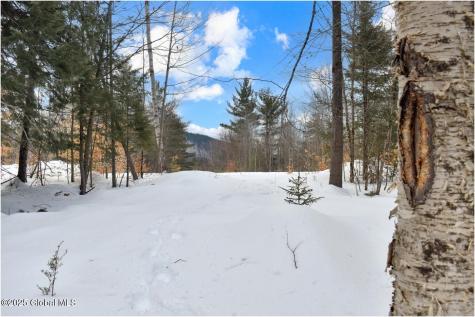 L87 Highview Lane Wevertown NY 12886
