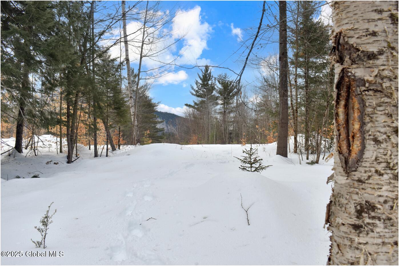 L87 Highview Lane Wevertown NY 12886