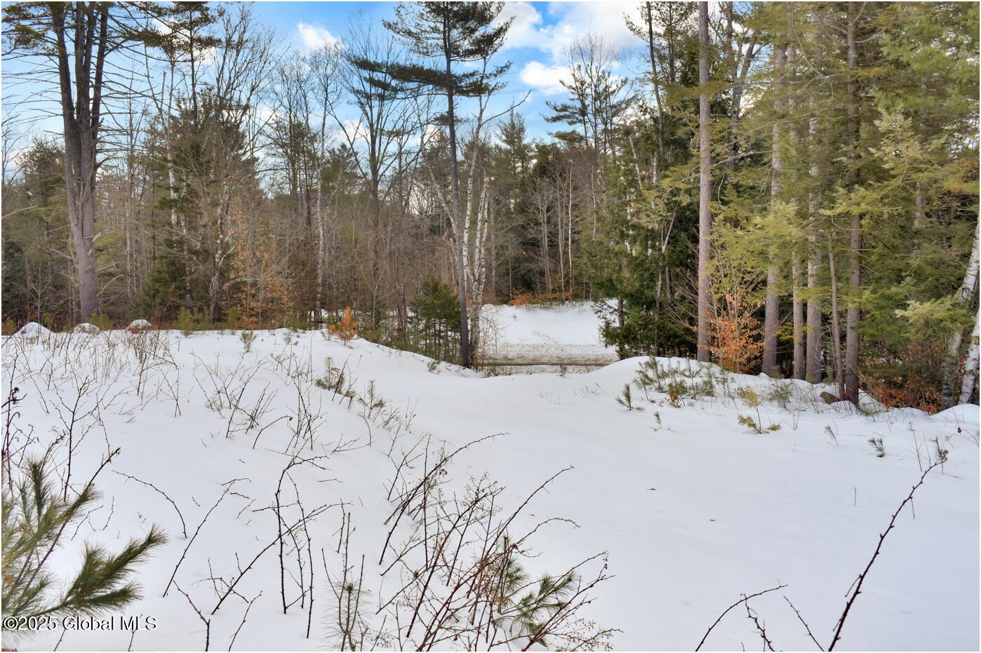 L87 Highview Lane Wevertown NY 12886