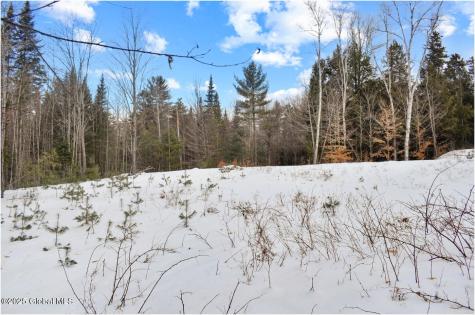 L87 Highview Lane Wevertown NY 12886