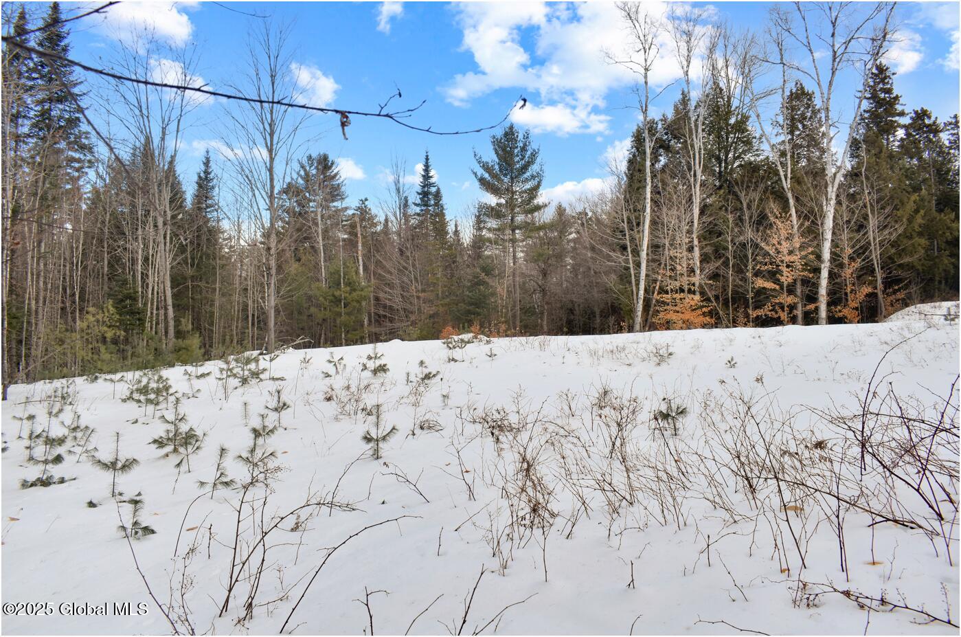 L87 Highview Lane Wevertown NY 12886