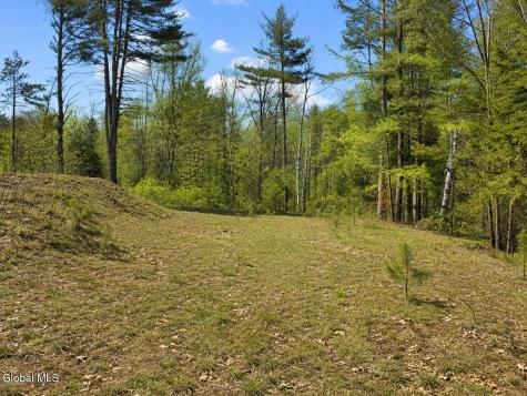 L87 Highview Lane Wevertown NY 12886