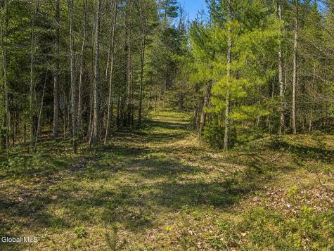 L87 Highview Lane Wevertown NY 12886