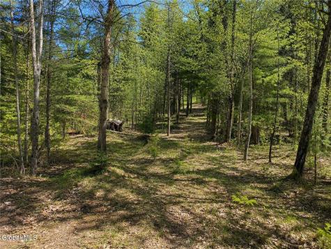 L87 Highview Lane Wevertown NY 12886