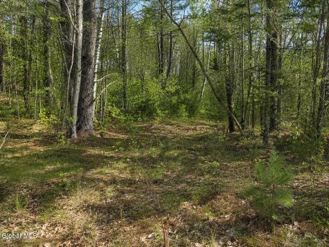 L87 Highview Lane Wevertown NY 12886