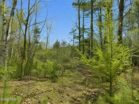 L87 Highview Lane Wevertown NY 12886