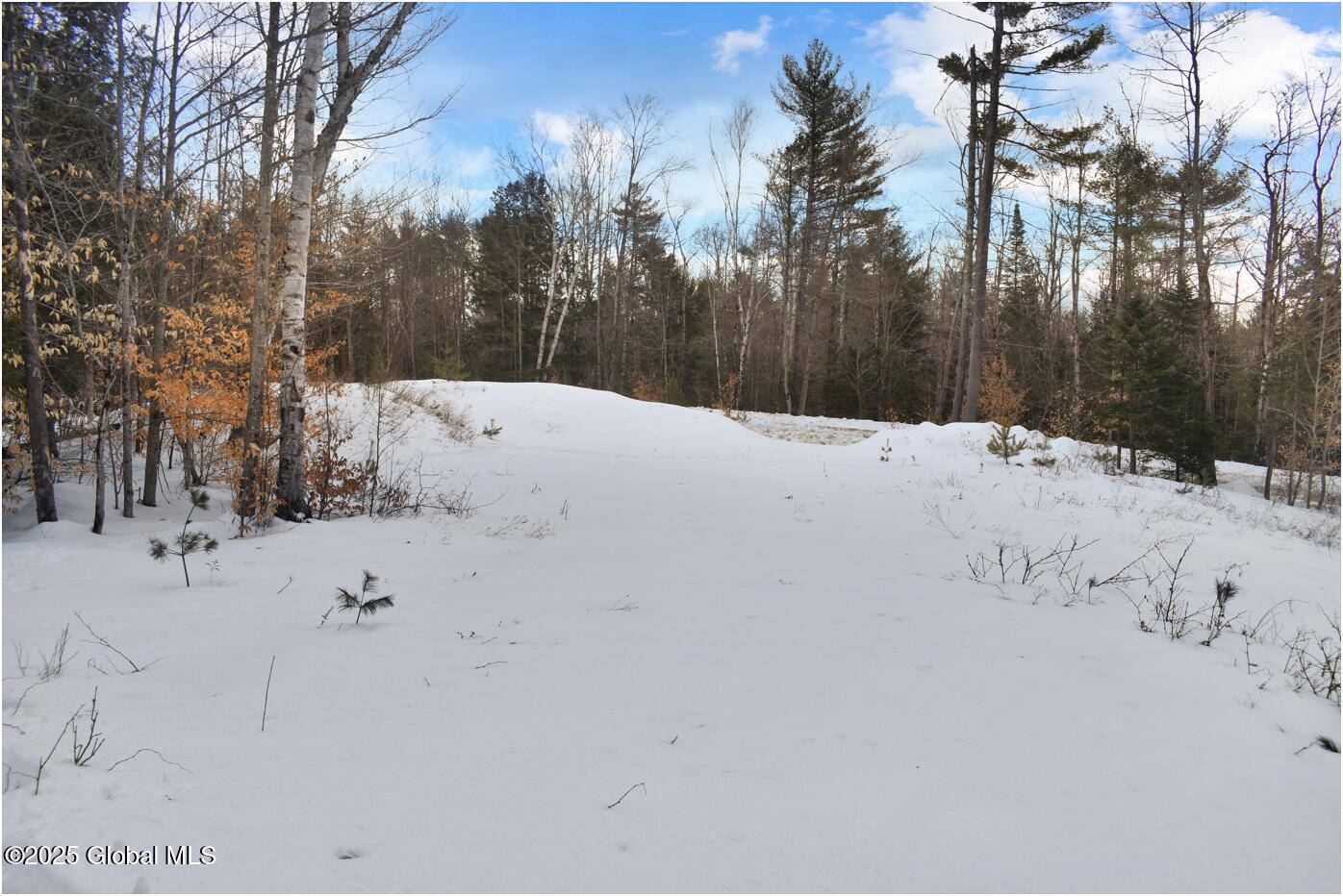 L87 Highview Lane Wevertown NY 12886