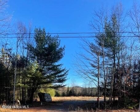 L4 State Route 28 Wevertown NY 12886