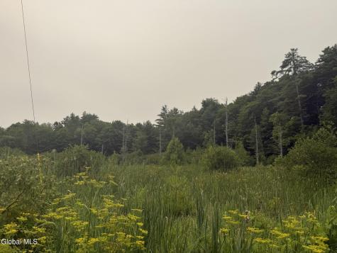276 Tanner Hill Road Whitehall NY 12887