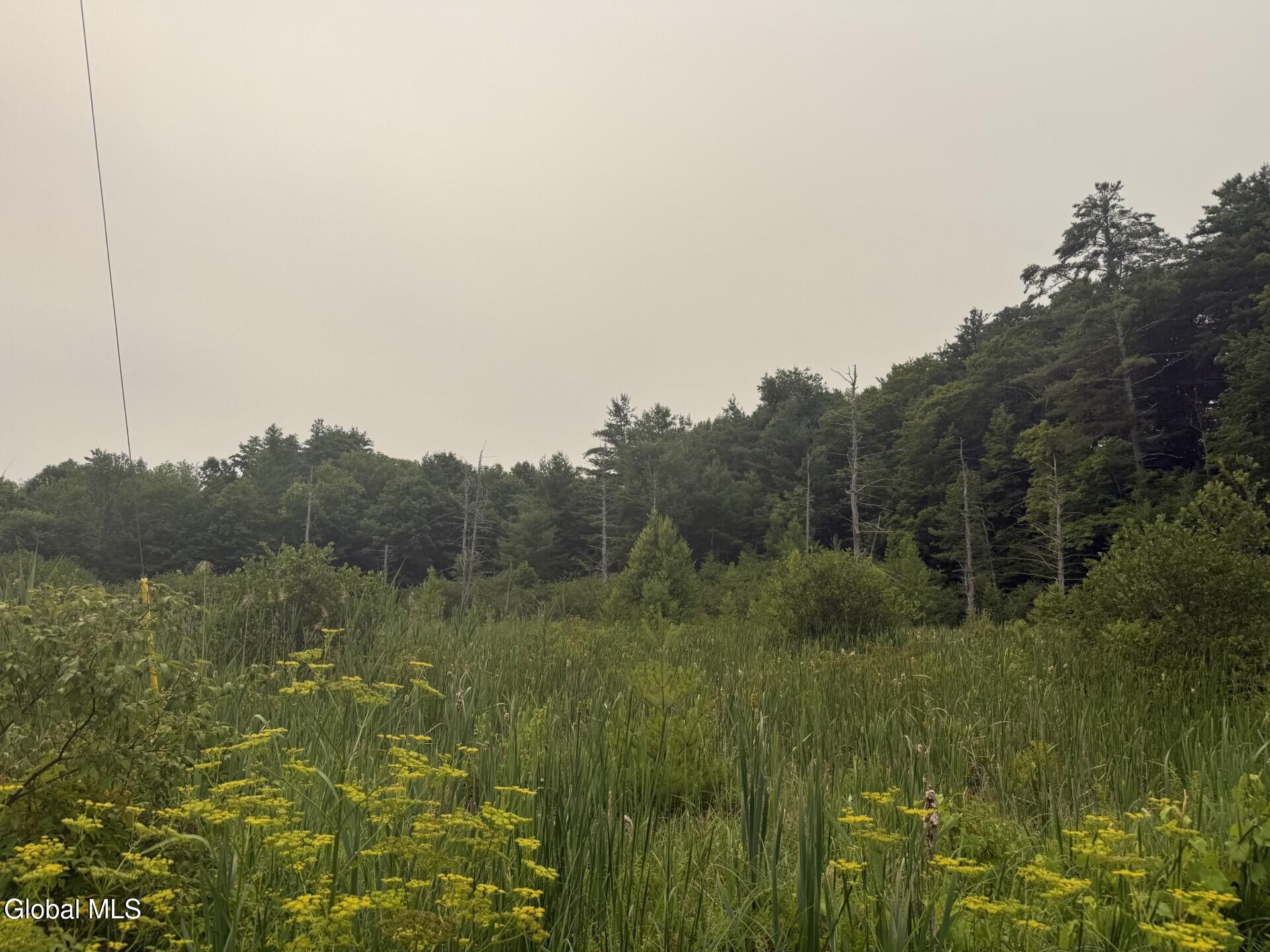 276 Tanner Hill Rd Road Whitehall NY 12887