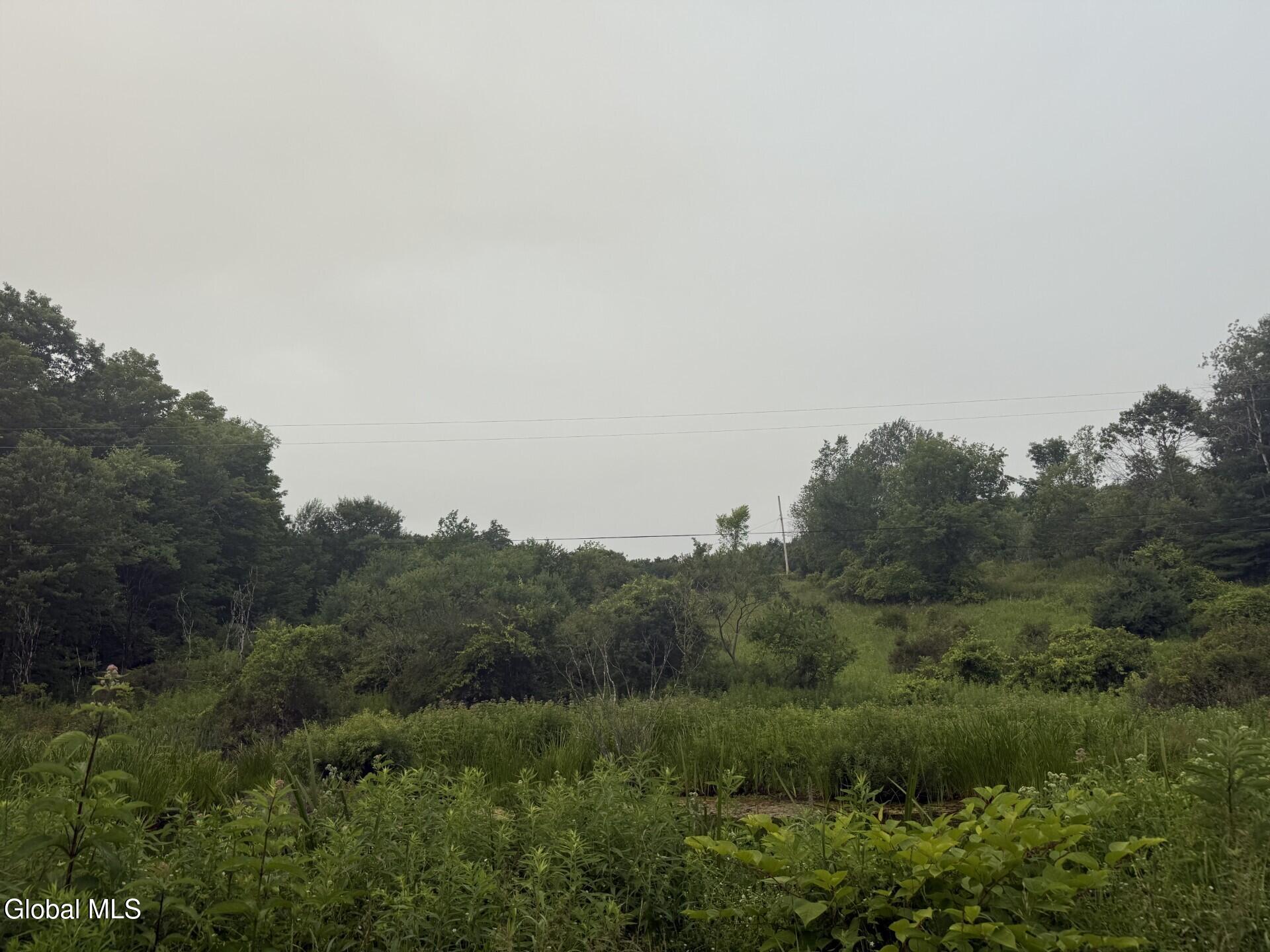 276 Tanner Hill Rd Road Whitehall NY 12887