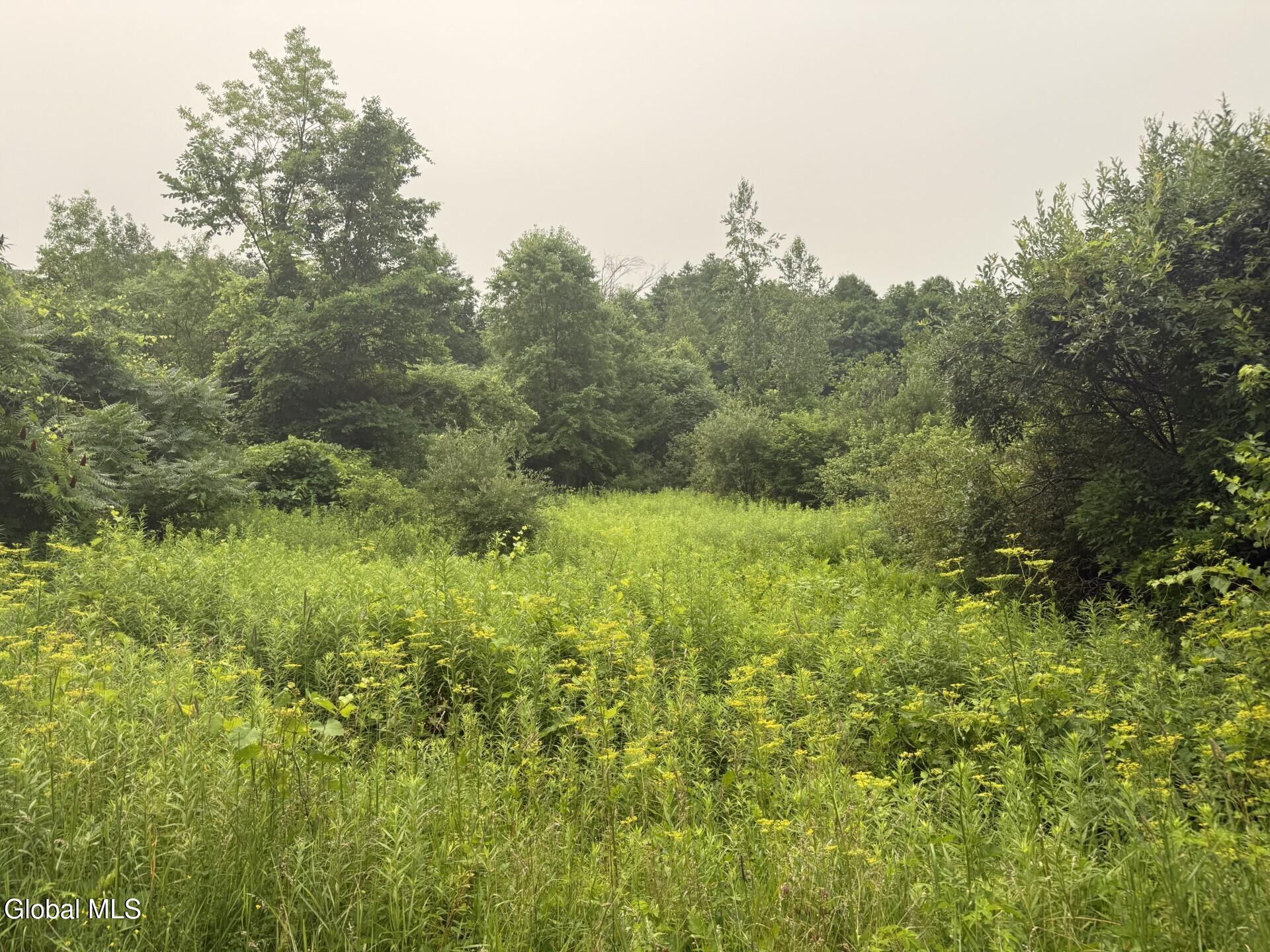 276 Tanner Hill Rd Road Whitehall NY 12887