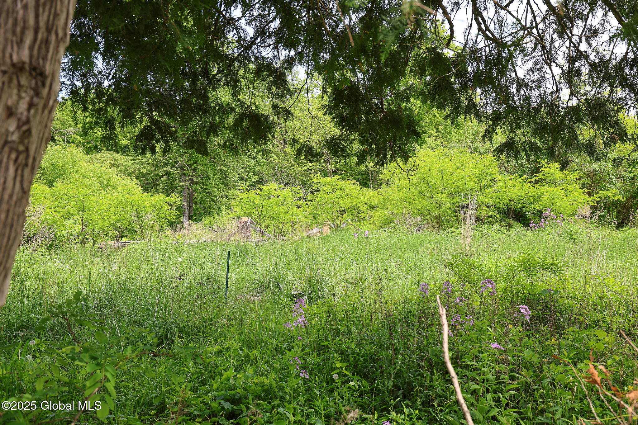 143 Rarick Road Selkirk NY 12158