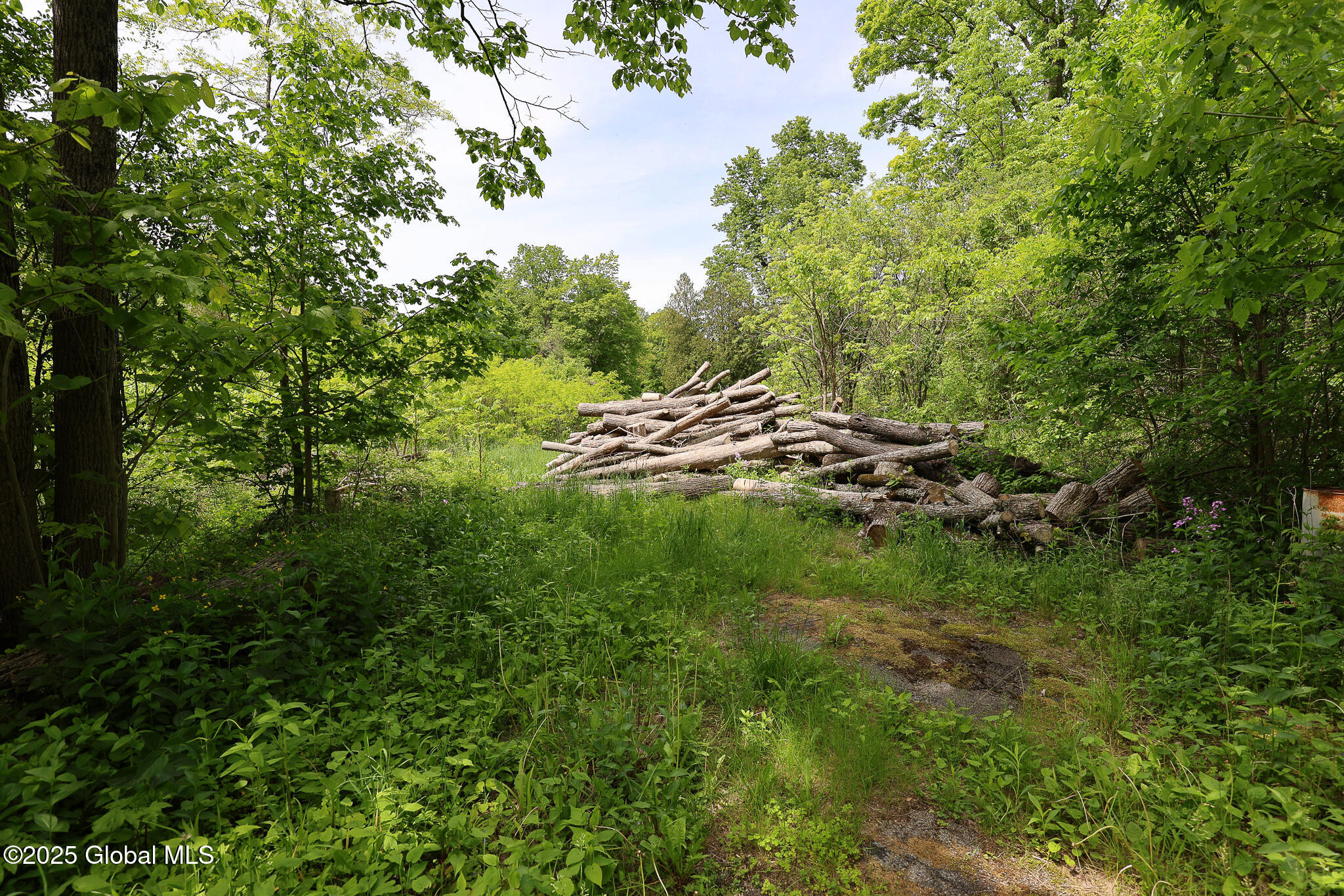 143 Rarick Road Selkirk NY 12158