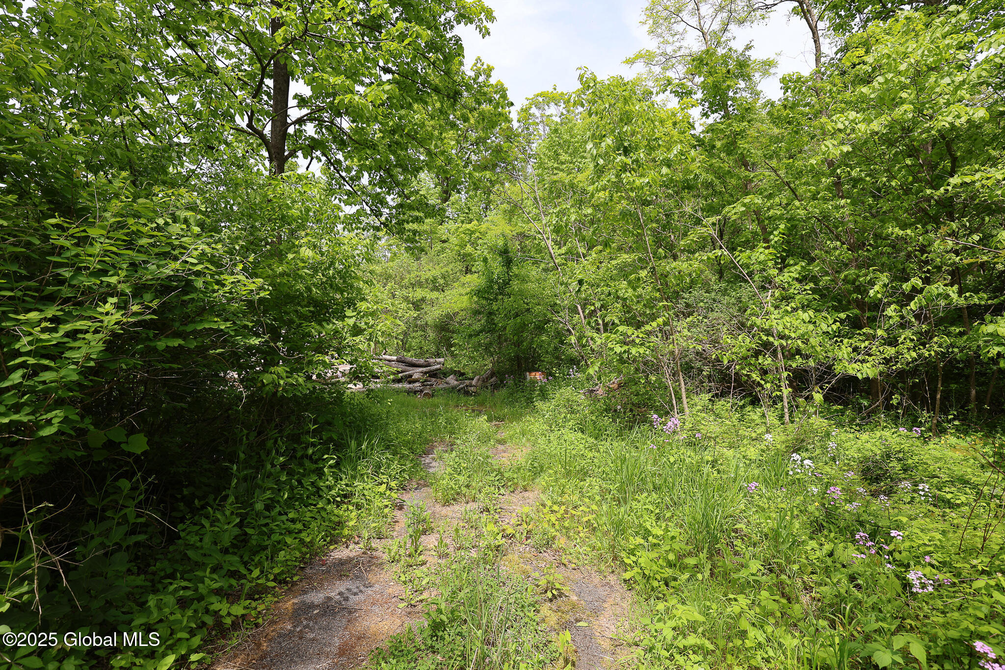 143 Rarick Road Selkirk NY 12158