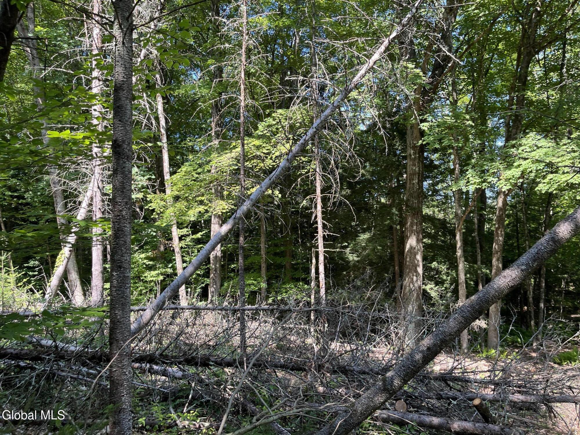 5260 Hudson Road Galway NY 12074