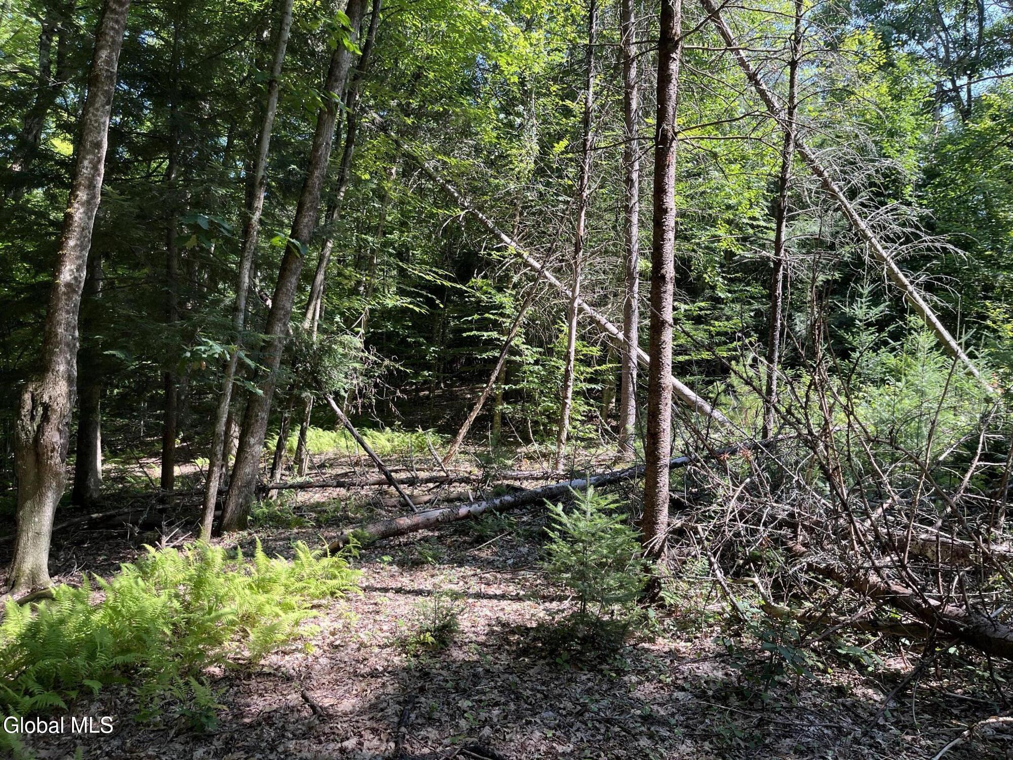 5260 Hudson Road Galway NY 12074