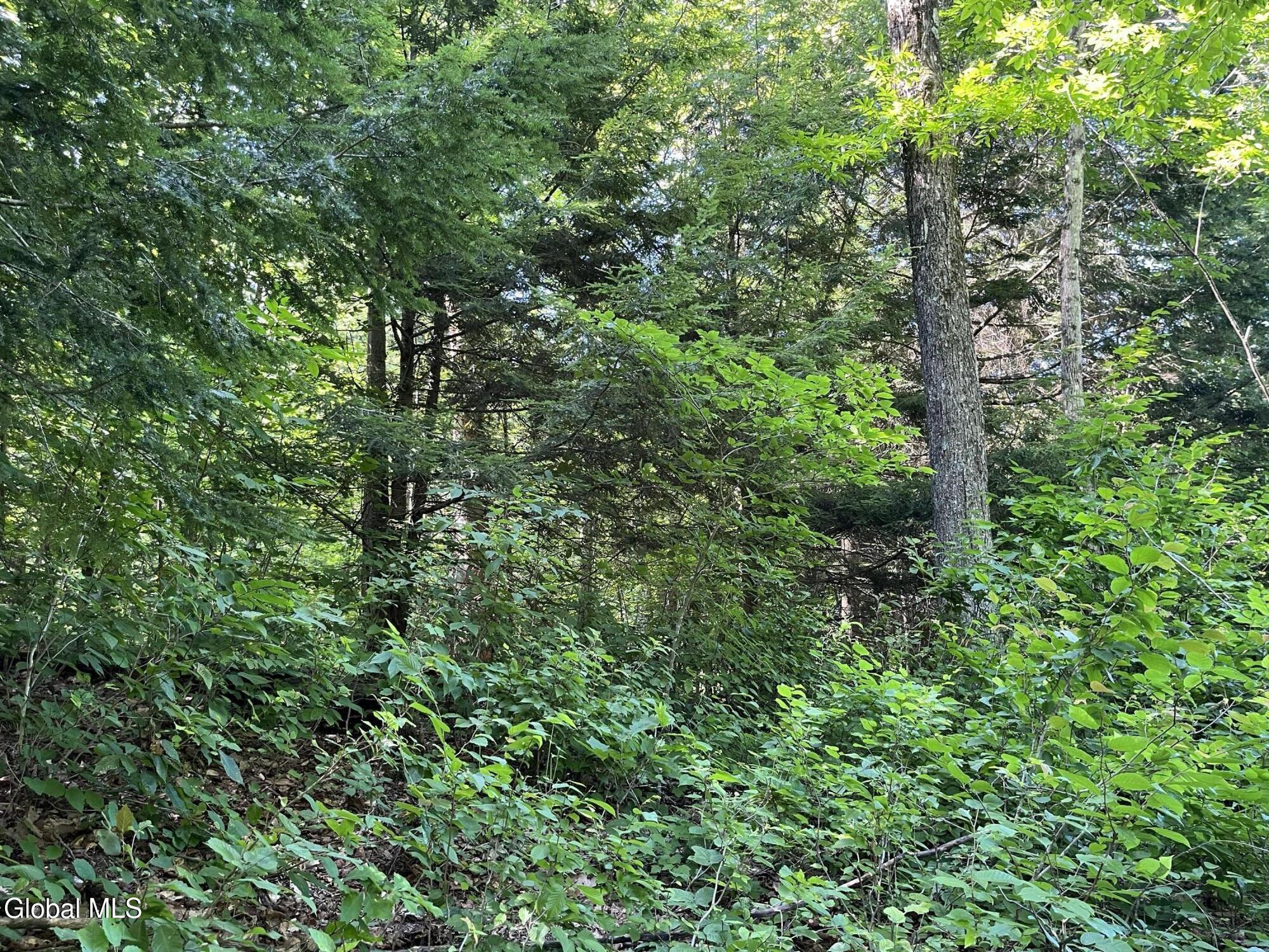 5260 Hudson Road Galway NY 12074