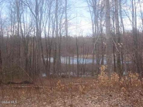 1980 Weast Road Pattersonville NY 12137
