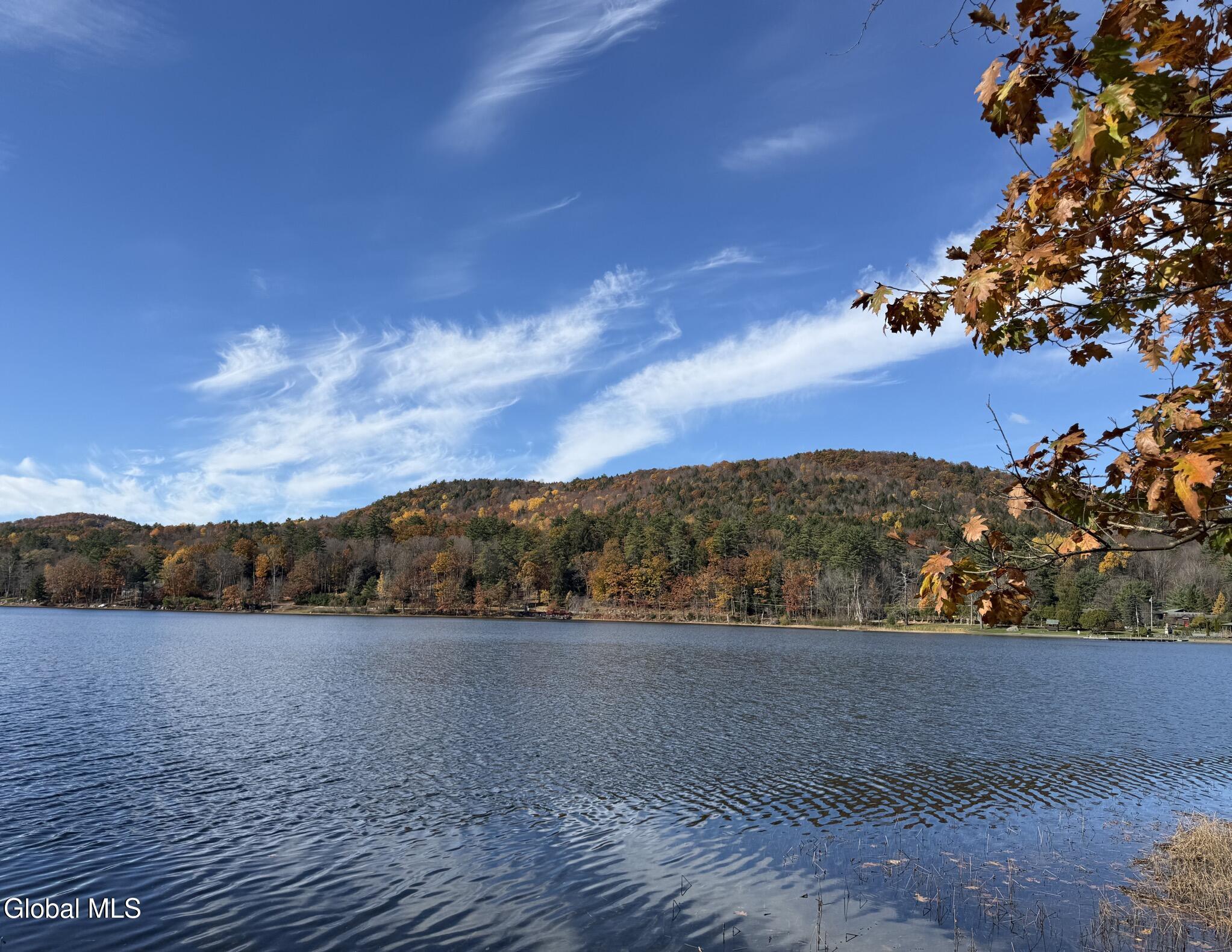 12 Teds Way Diamond Point NY 12824