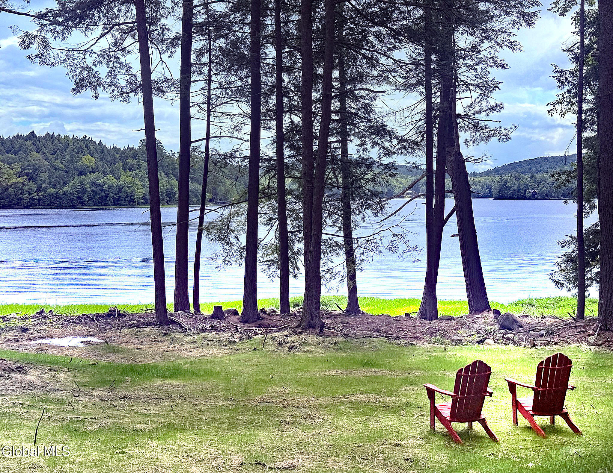 12 Teds Way Diamond Point NY 12824