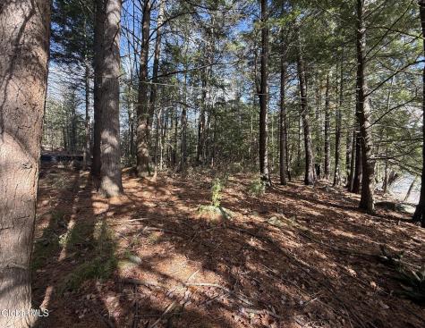 12 Teds Way Diamond Point NY 12824