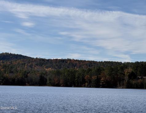 12 Teds Way Diamond Point NY 12824