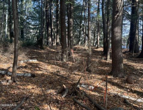 12 Teds Way Diamond Point NY 12824