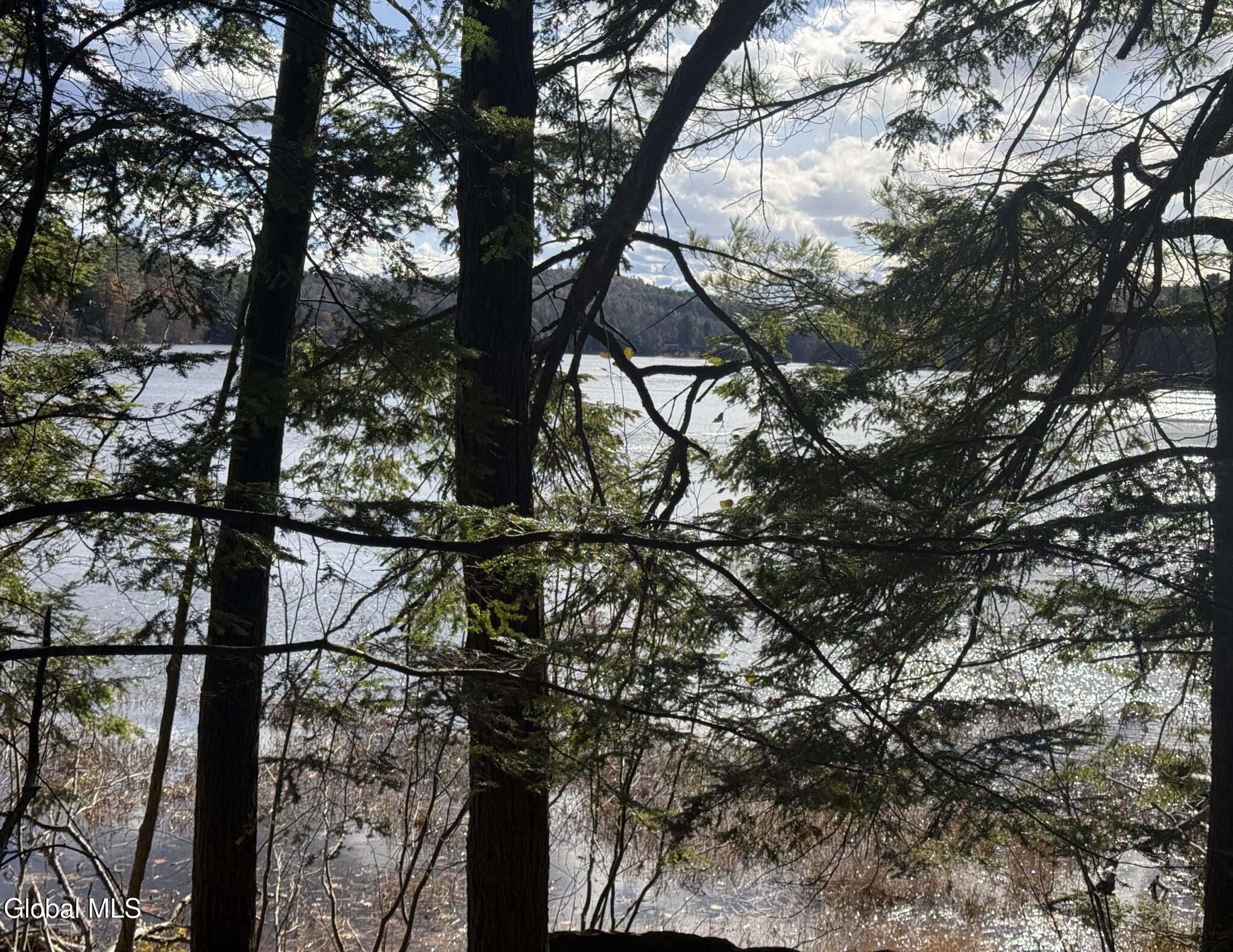 12 Teds Way Diamond Point NY 12824