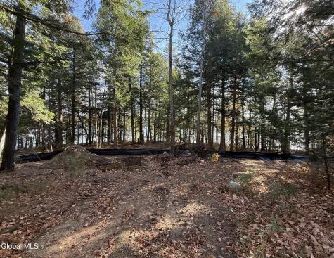 12 Teds Way Diamond Point NY 12824