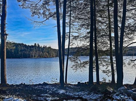 12 Teds Way Diamond Point NY 12824