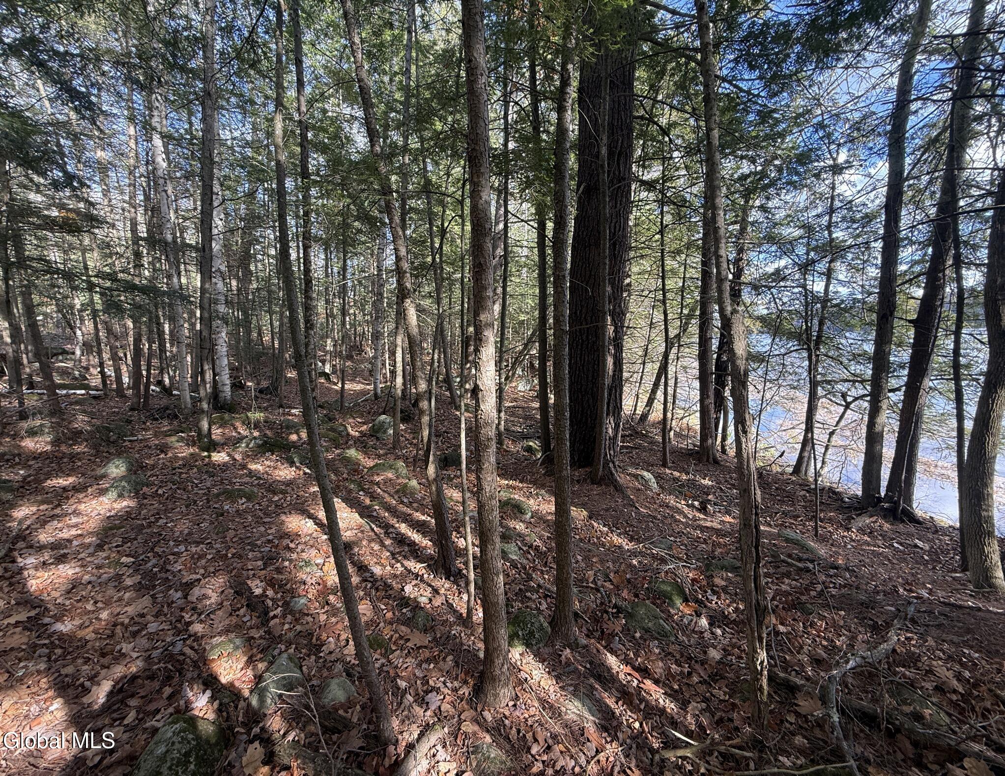 12 Teds Way Diamond Point NY 12824
