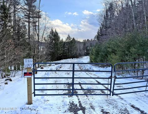 12 Teds Way Diamond Point NY 12824