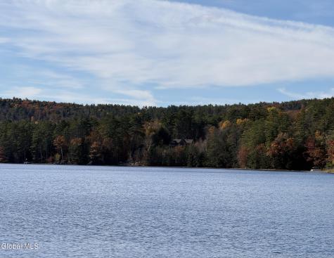 12 Teds Way Diamond Point NY 12824