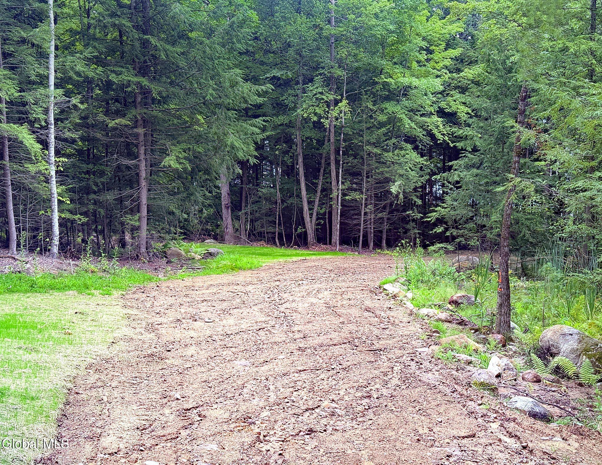 12 Teds Way Diamond Point NY 12824