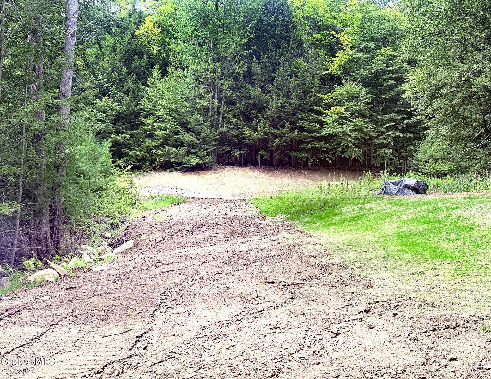 12 Teds Way Diamond Point NY 12824